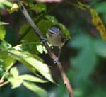 IMG_7559