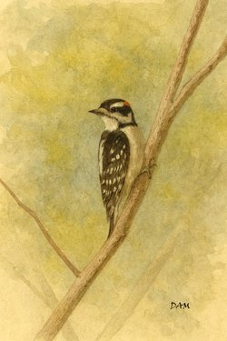 Dowo Jja Ai