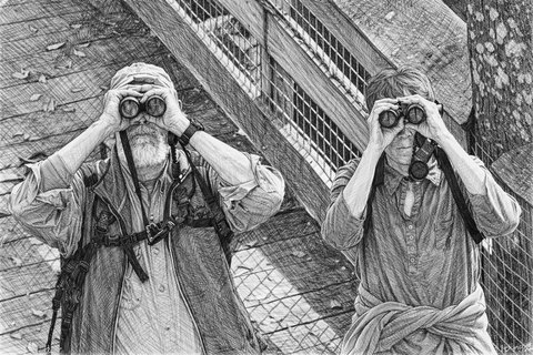 Birding