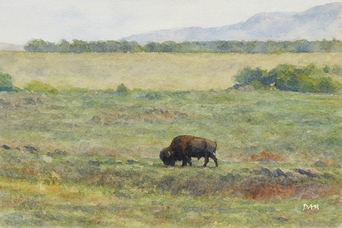 Bison3