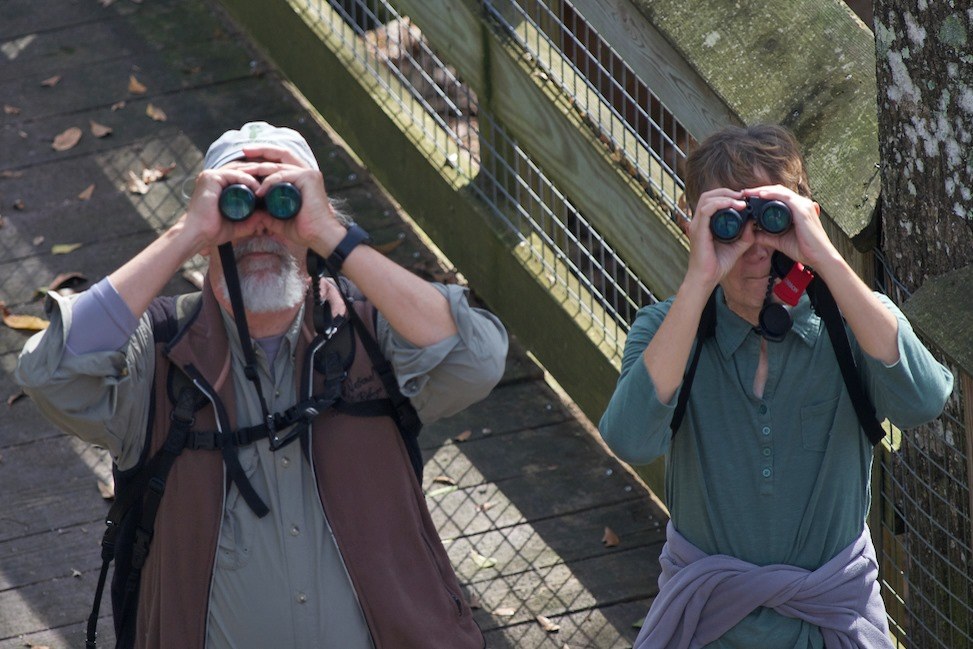 Dan and Laurie birding together with binoculars